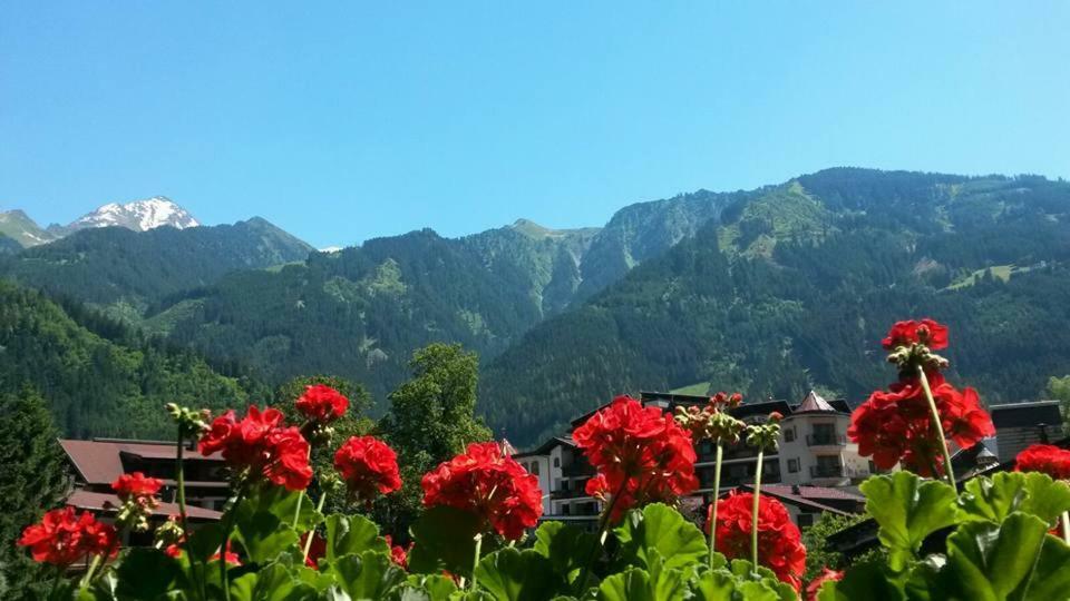 Landhaus Alpenrose Mayrhofen Εξωτερικό φωτογραφία